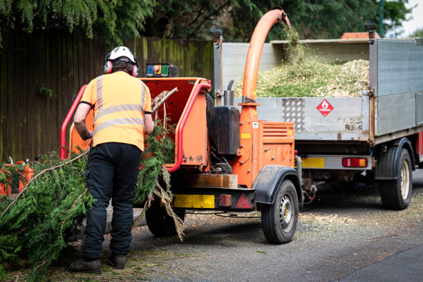 Fairbury, NE Tree Services Company